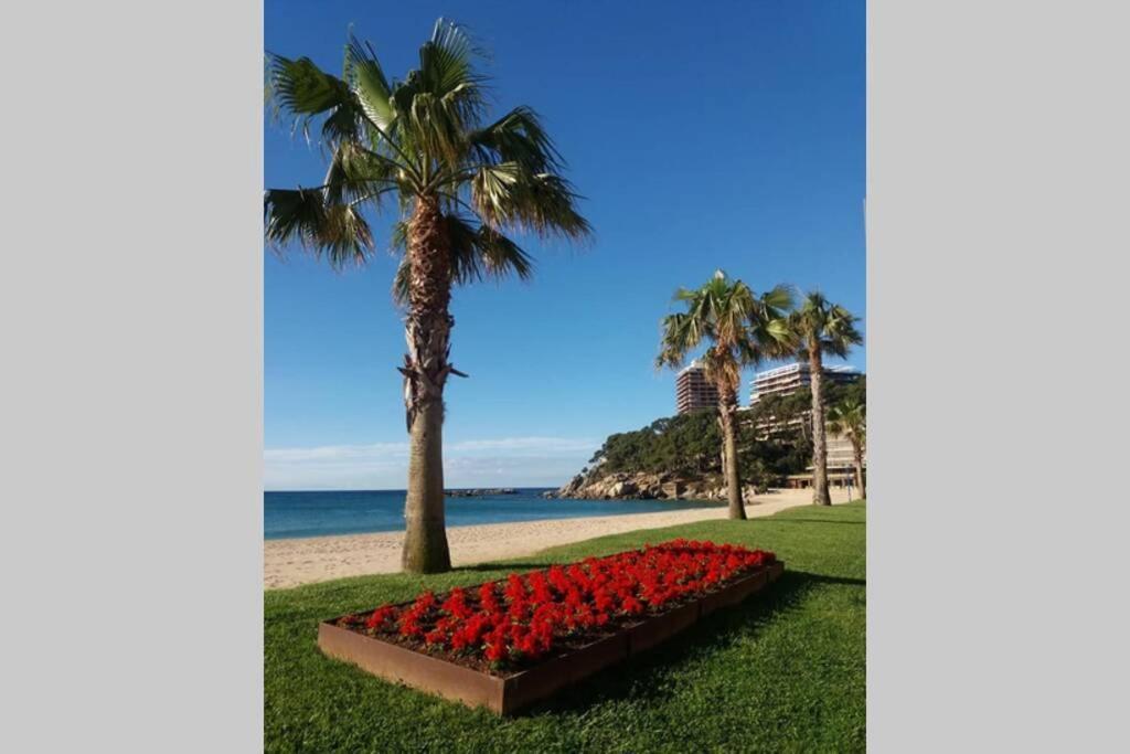 Costa Brava-St Antoni De Calonge Apartament Per Parelles I Families Petites المظهر الخارجي الصورة